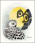 Snowy Owl (image for) Snowy Owl